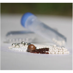 Prefilled tube kits for bead homogenizer