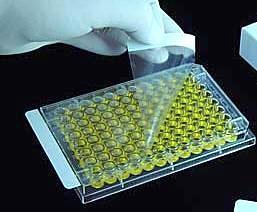 Plate Sealing Film, (PCR, ELISA) ,100/box - laguna scientific